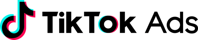 TikTok Partners Logo